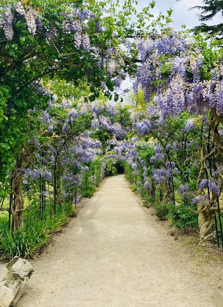 The Garden