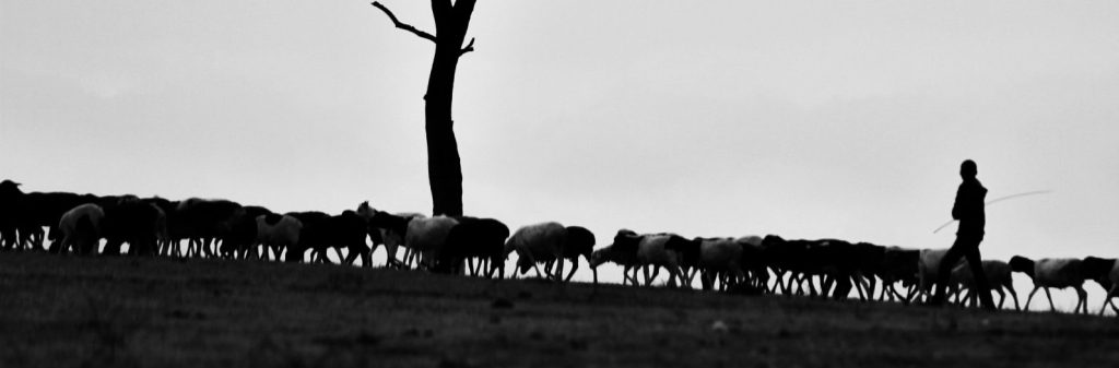 The Traveler’s Companion: How We Are Led