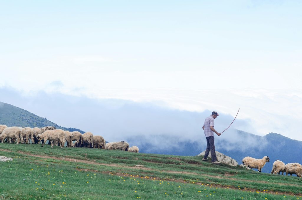 The Traveler’s Companion: With What He Holds Us