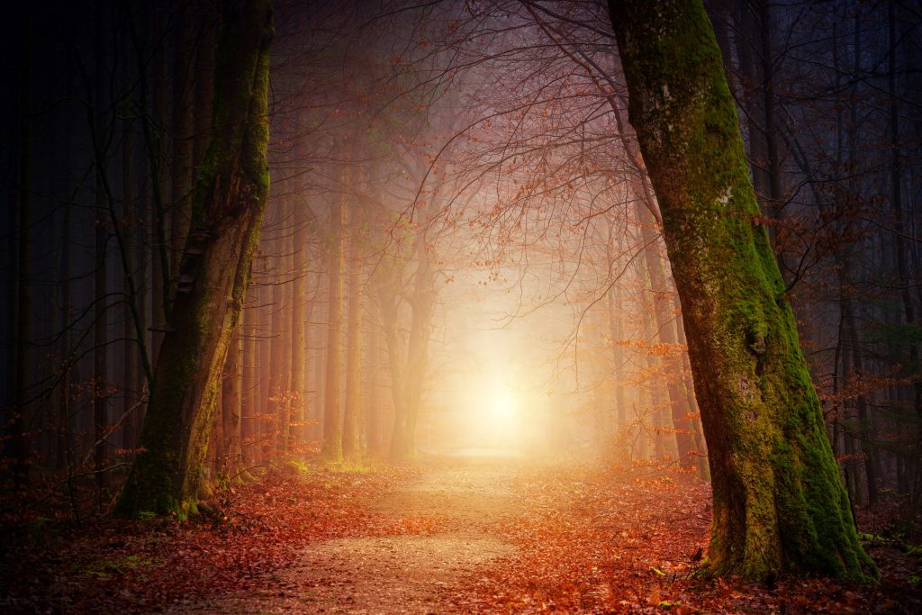 Fruit of the Spirit: He Himself is Our Peace