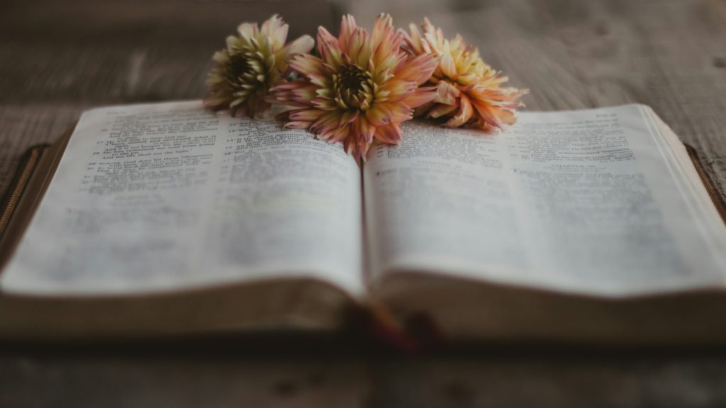 Learn From Me For I Am Gentle and Simple of Heart