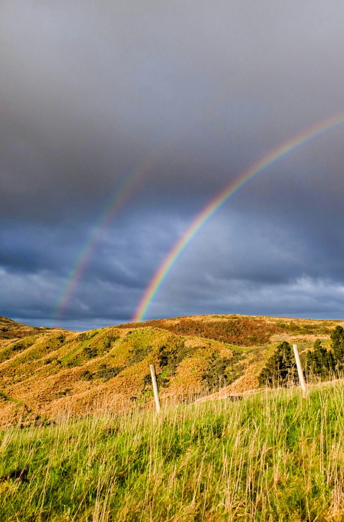 Responding to Tragedy by Looking Beyond the Present