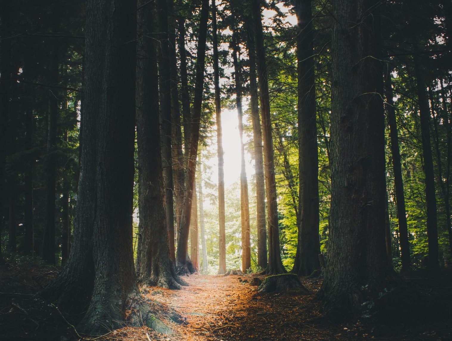 Following the Path of the Spirit: Living the Whole Story